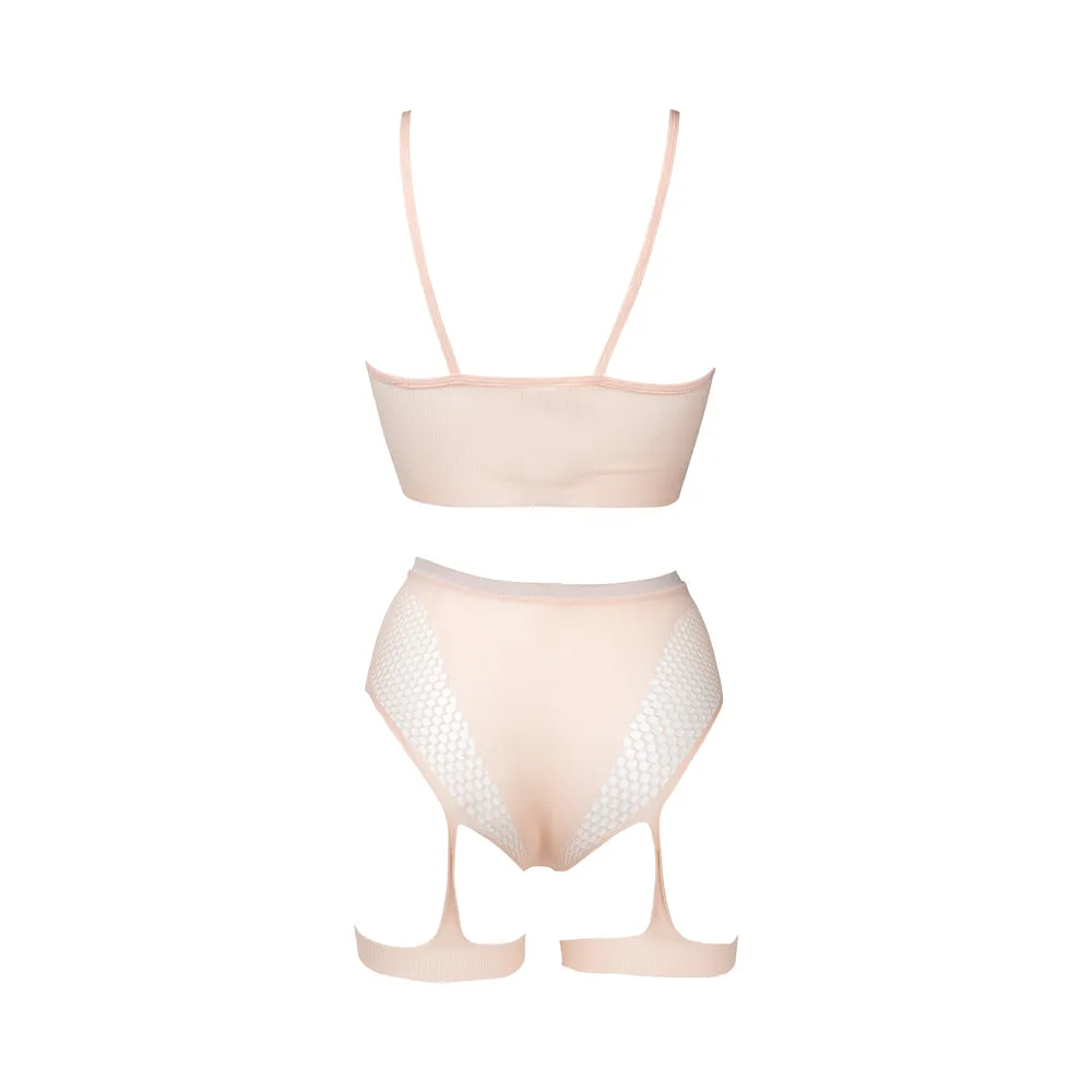 Le Desir Bliss 2-Piece Fishnet Bra & Gartered Panty Set Pink O/S